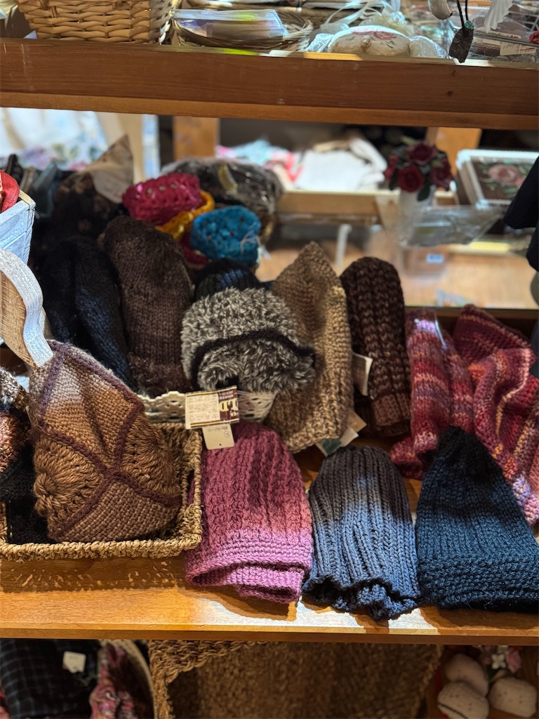 f:id:Aplaudo:20250123185432j:image