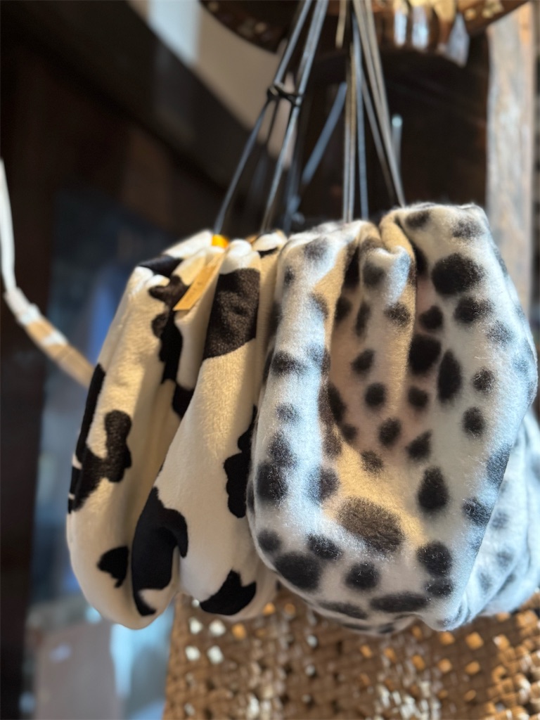 f:id:Aplaudo:20250123185457j:image