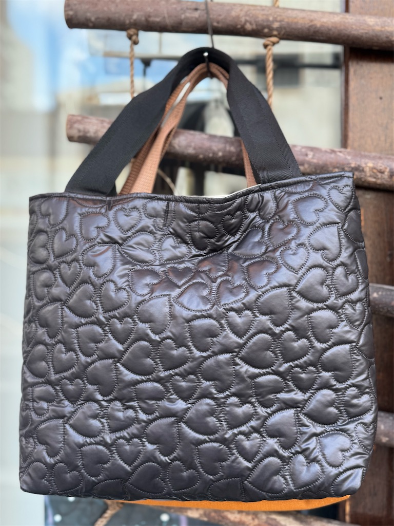 f:id:Aplaudo:20250123185509j:image