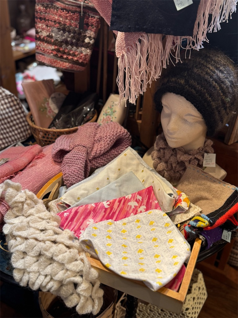 f:id:Aplaudo:20250123185541j:image