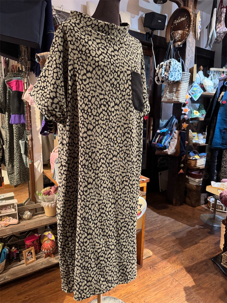 f:id:Aplaudo:20250123185558j:image