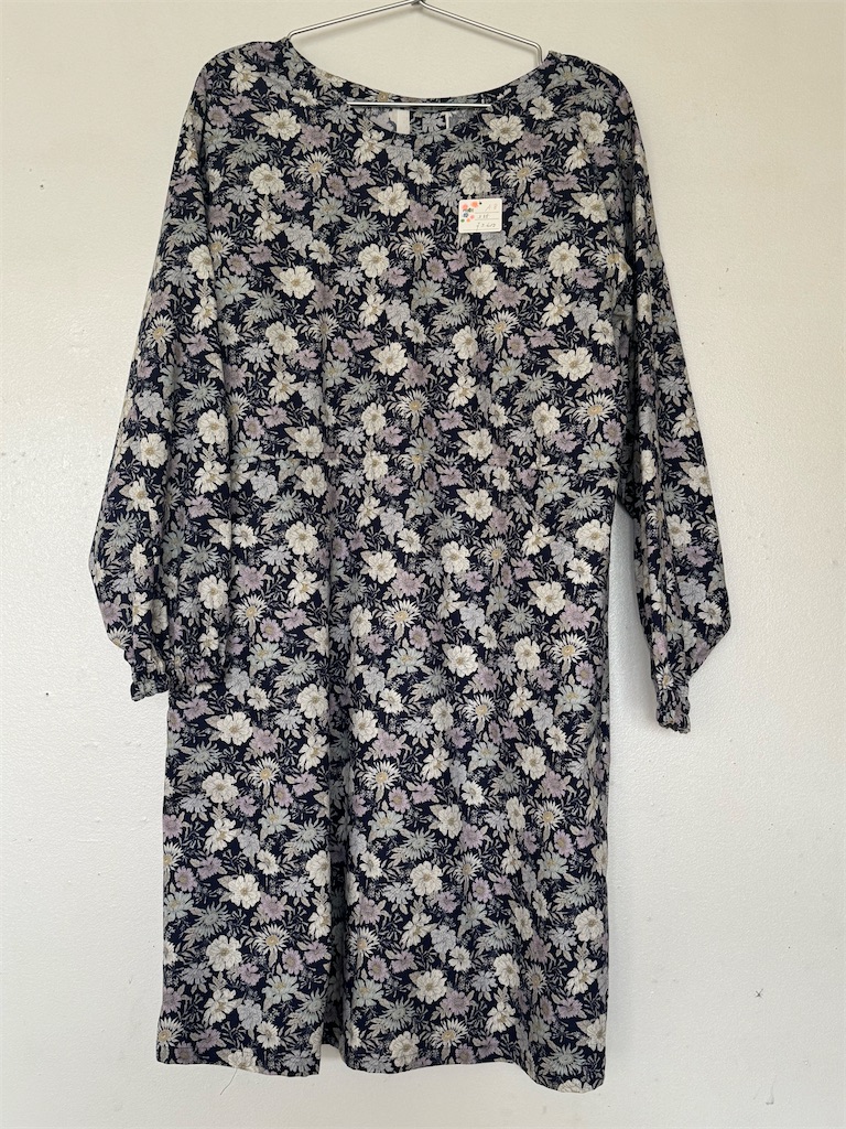 f:id:Aplaudo:20250123185607j:image