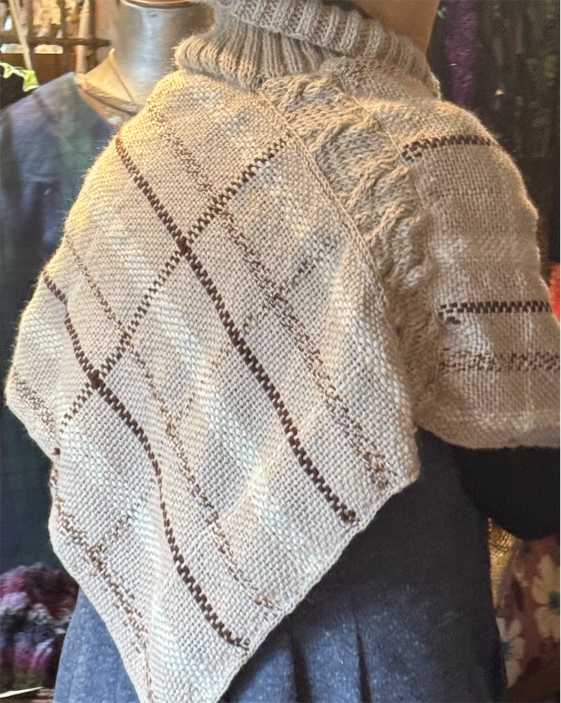 f:id:Aplaudo:20250123185817j:image