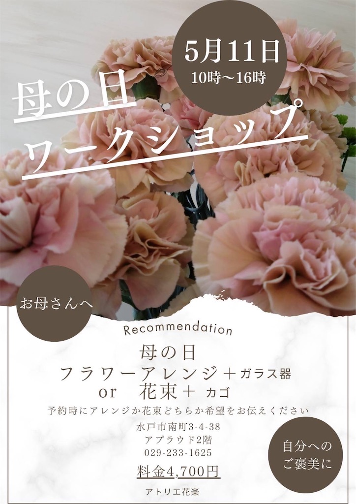 f:id:Aplaudo:20250507222932j:image