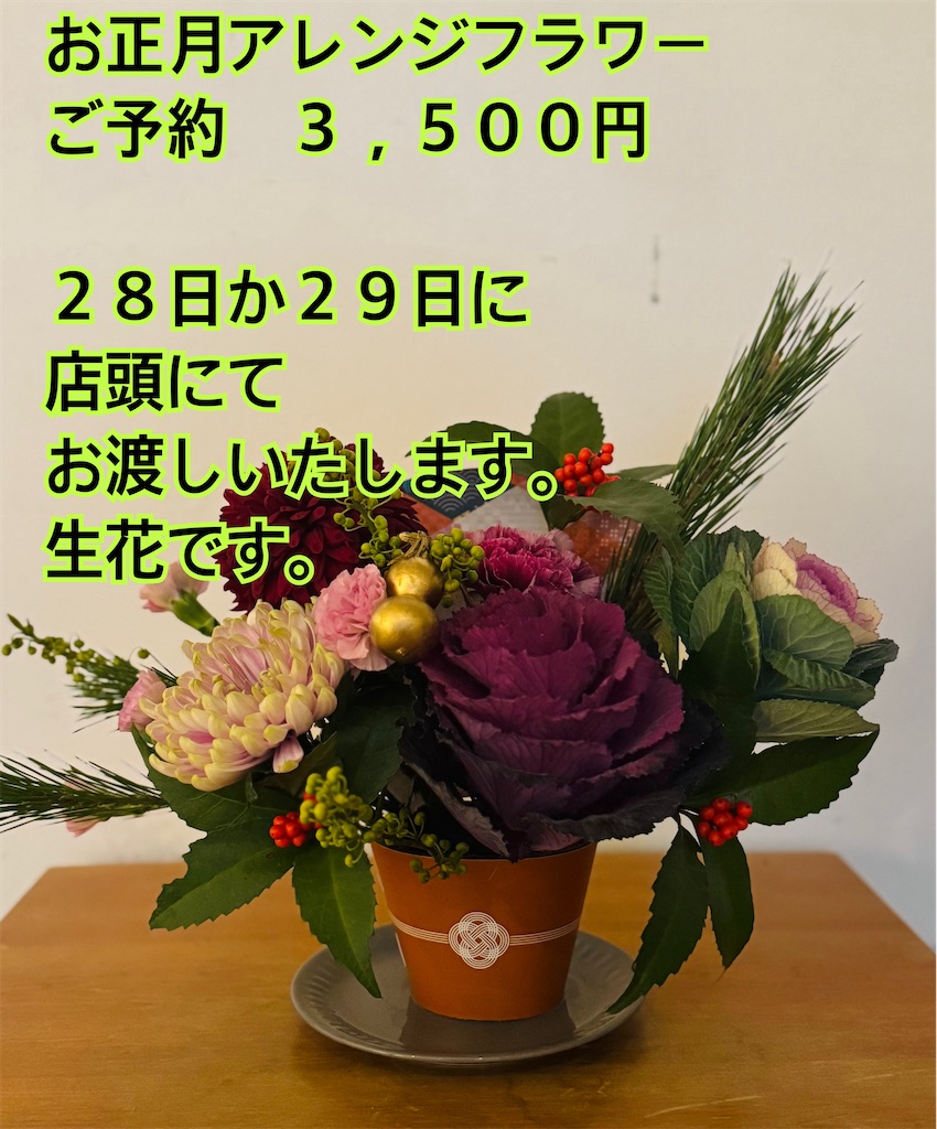 f:id:Aplaudo:20251226202956j:image