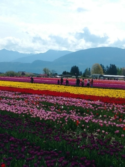 f:id:Apollojustice:20190422093750j:plain f:id:Apollojustice:20190422093750j:plain