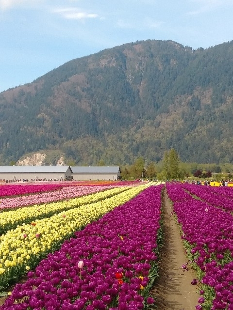 f:id:Apollojustice:20190422095522j:plain f:id:Apollojustice:20190422095522j:plain