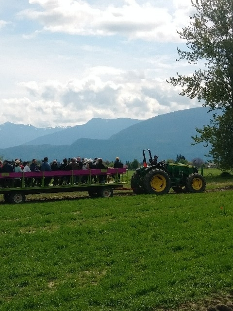 f:id:Apollojustice:20190422095545j:plain f:id:Apollojustice:20190422095545j:plain