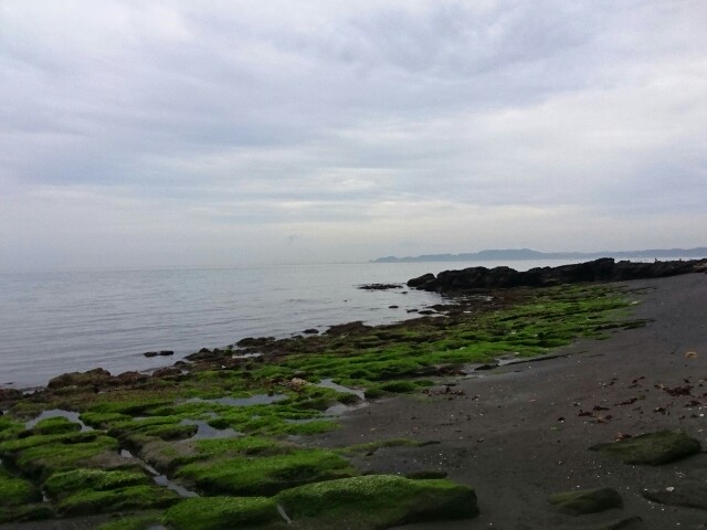 f:id:Apollonneo:20200725000622j:image