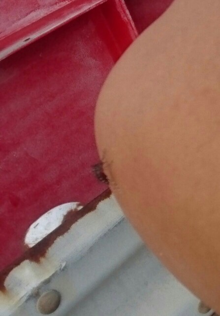 f:id:Apollonneo:20200725004715j:image