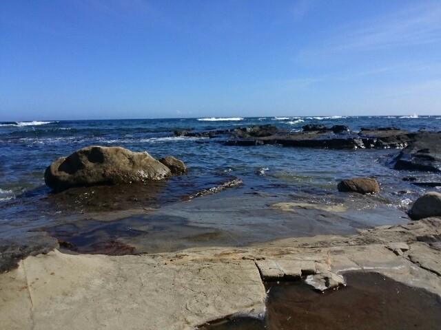 f:id:Apollonneo:20200803000047j:image