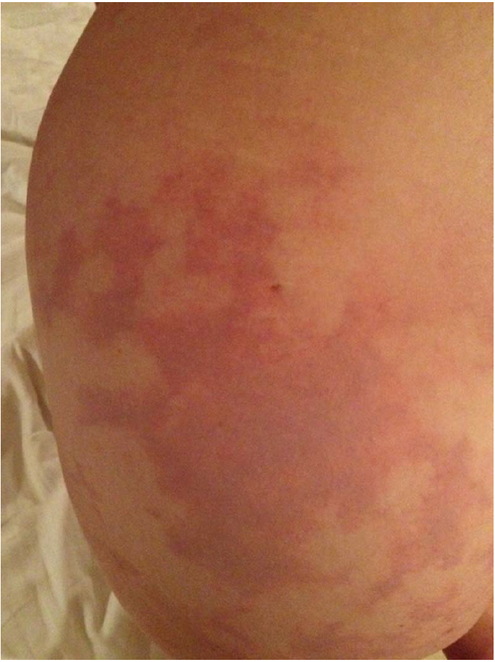 f:id:AppleQQ:20201202214107p:plain