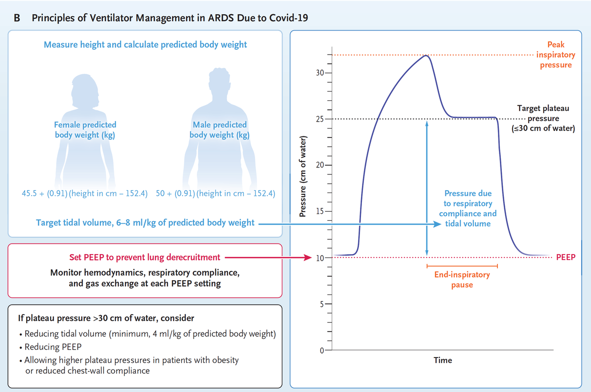 f:id:AppleQQ:20201217232123p:plain