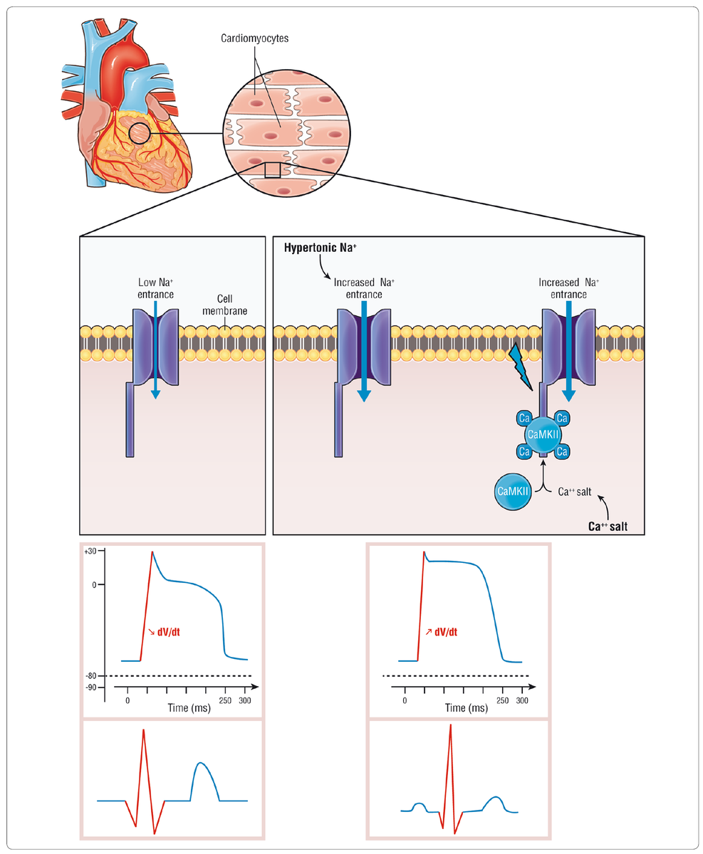f:id:AppleQQ:20210401184420p:plain