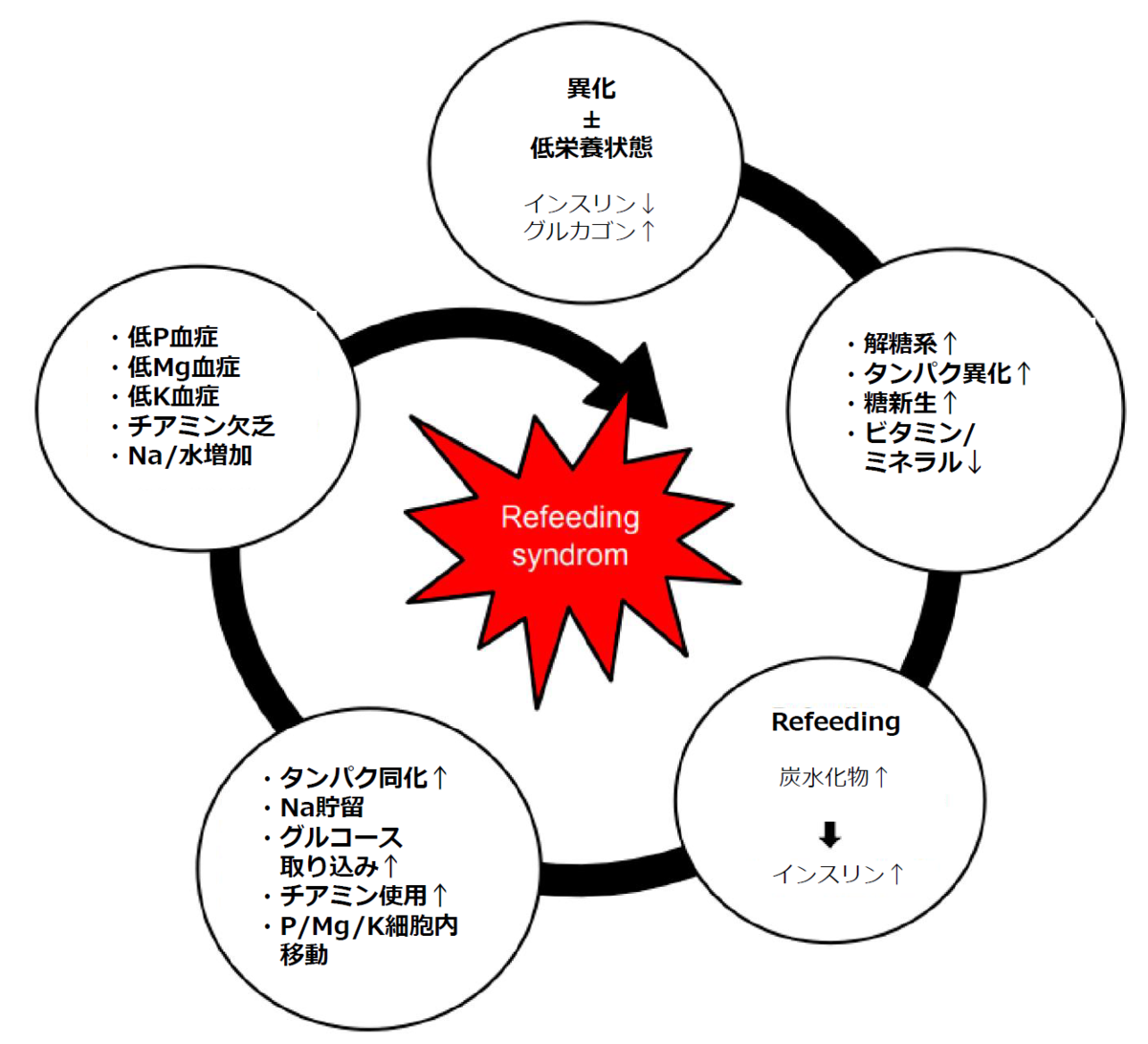 リンチ症候群ガイドライン _ リンチ症候群 治療方法 : リンチ症候群 – ZOOBFA