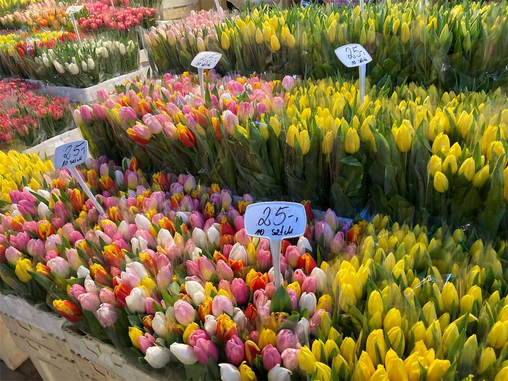 f:id:Applebee:20230414125428j:image