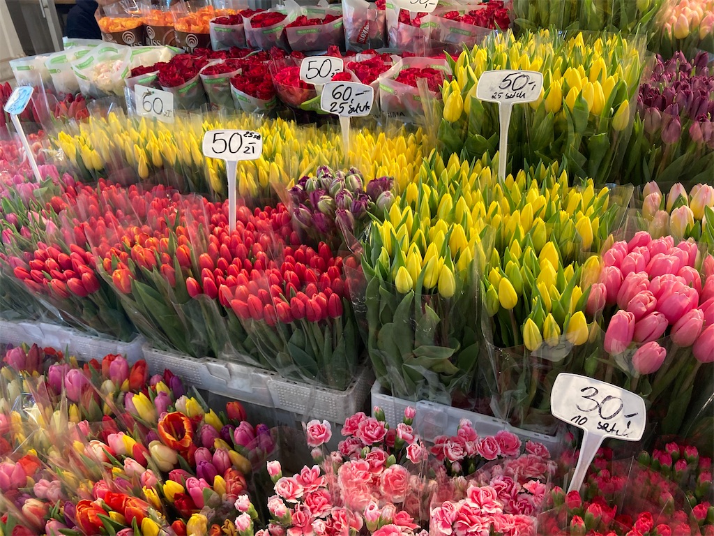 f:id:Applebee:20230414125501j:image