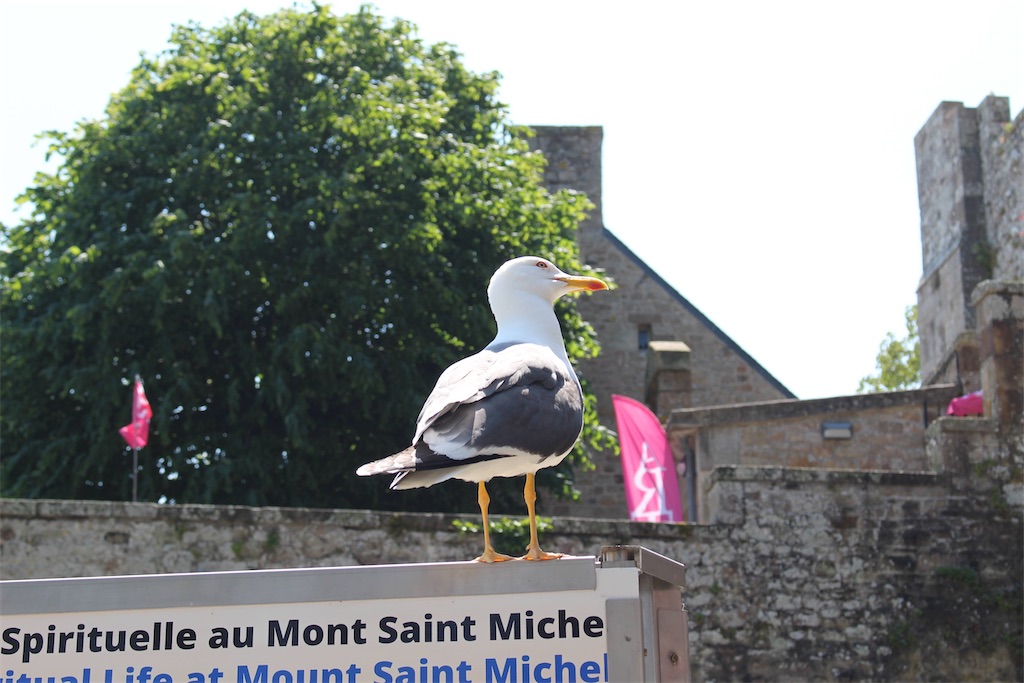 f:id:Applebee:20230607164027j:image