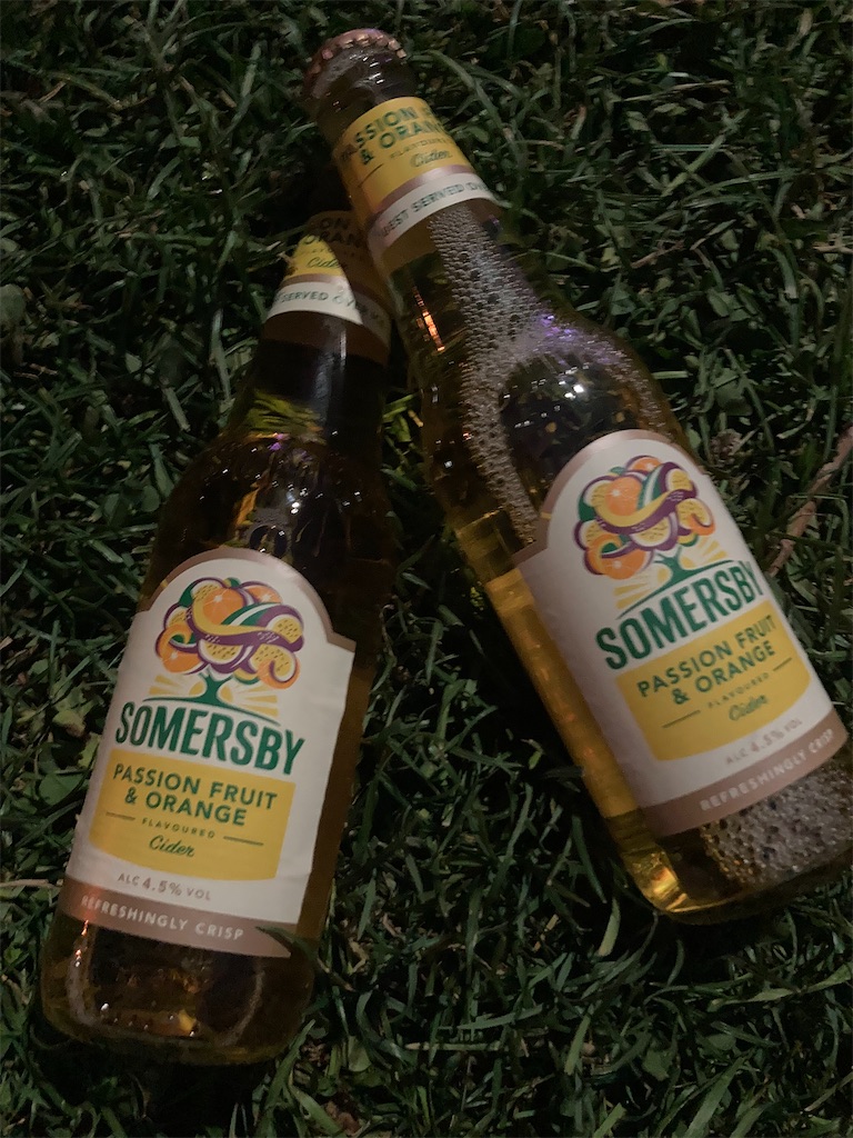 f:id:Applebee:20230628095138j:image