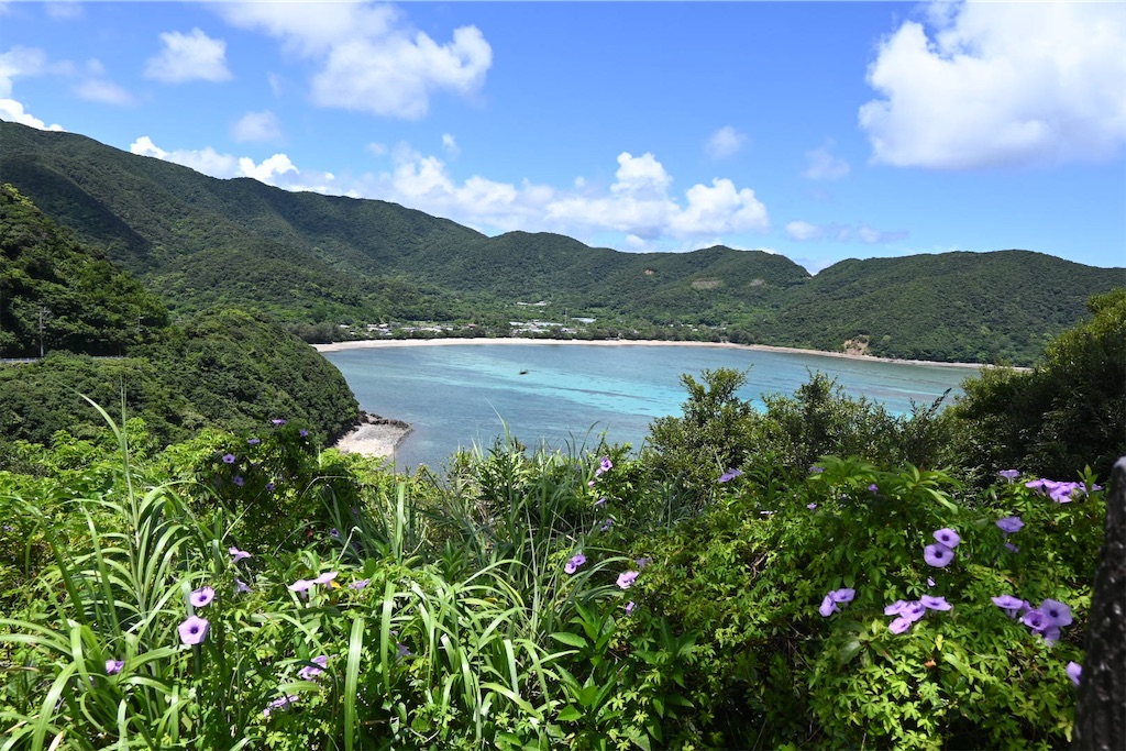 奄美②-1】綺麗な海を堪能した奄美大島2日目の旅行ブログ