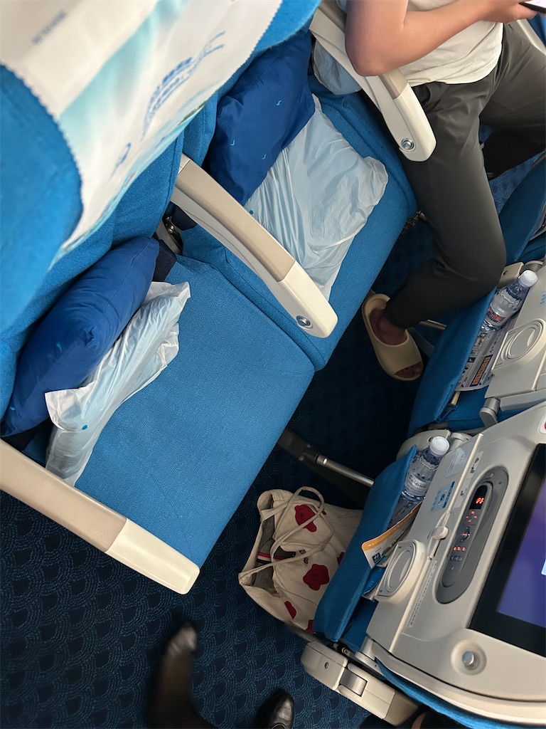 f:id:Applebee:20241024143945j:image