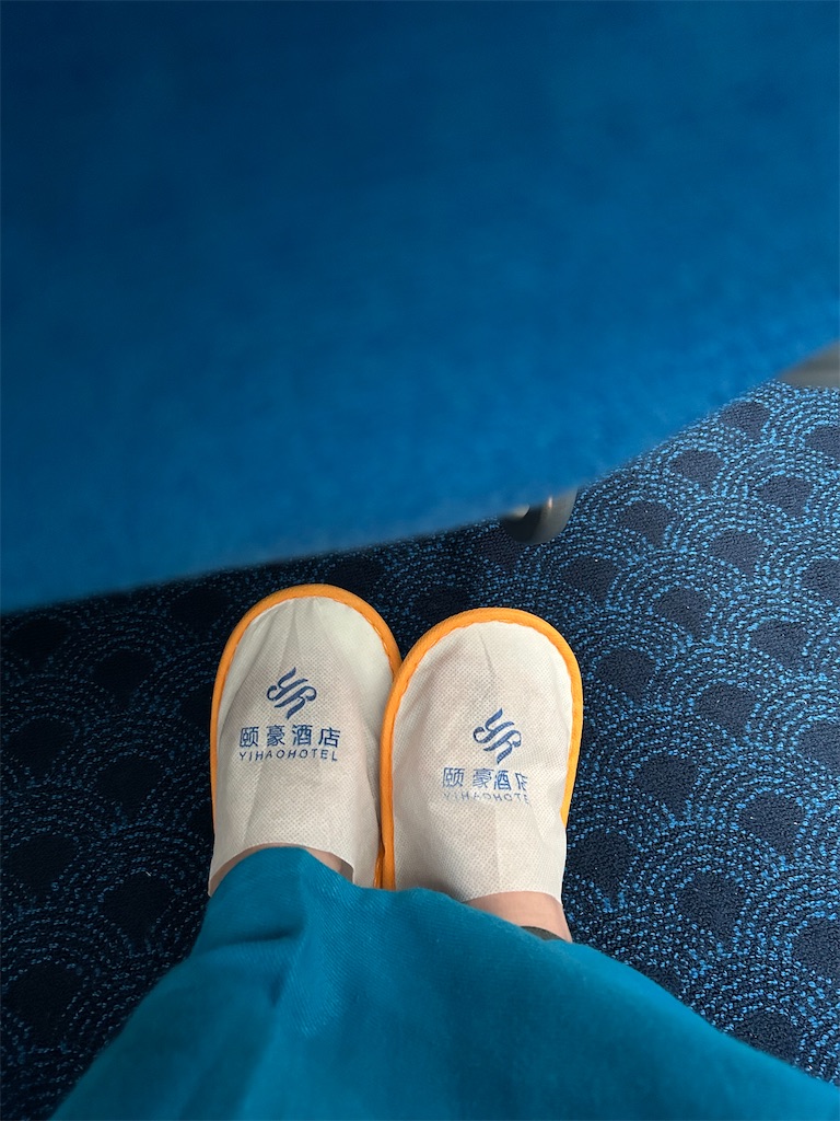 f:id:Applebee:20241024144110j:image