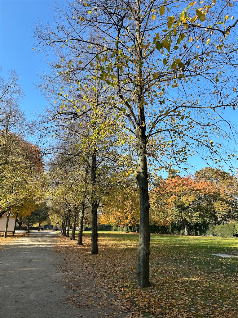 f:id:Applebee:20241027091158j:image