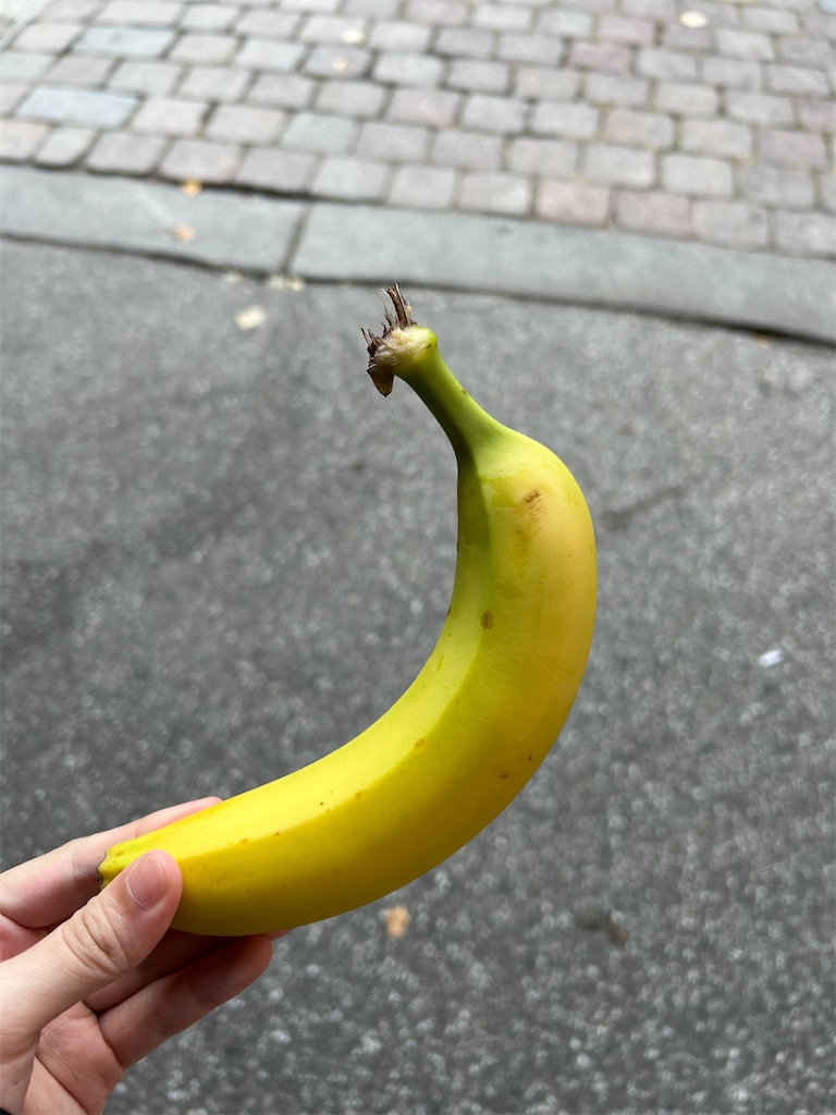 f:id:Applebee:20241027113323j:image