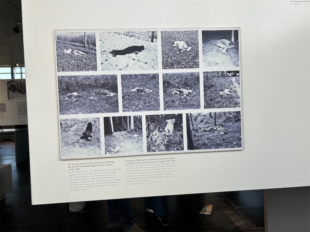 f:id:Applebee:20241028043647j:image