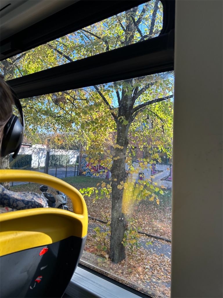 f:id:Applebee:20241028045522j:image