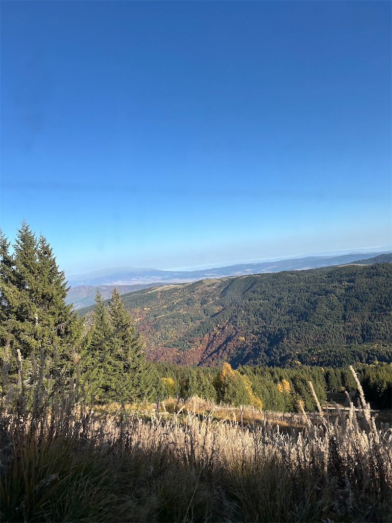 f:id:Applebee:20241030151559j:image