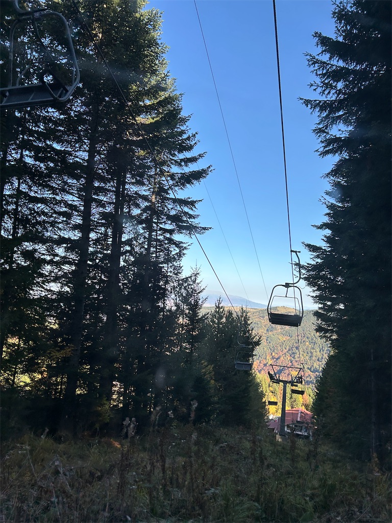 f:id:Applebee:20241030151612j:image