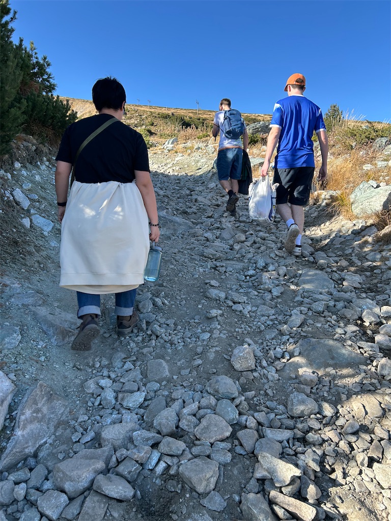 f:id:Applebee:20241030151957j:image