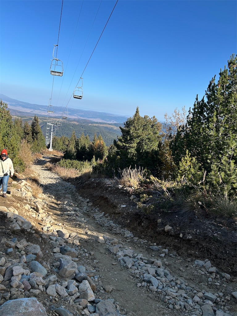 f:id:Applebee:20241030152010j:image