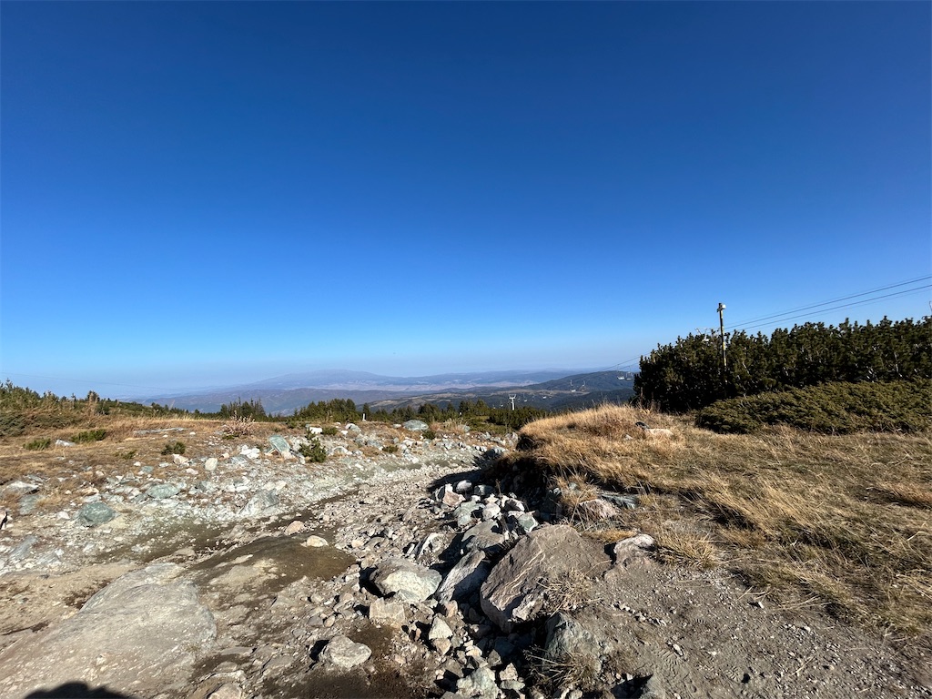 f:id:Applebee:20241030152025j:image