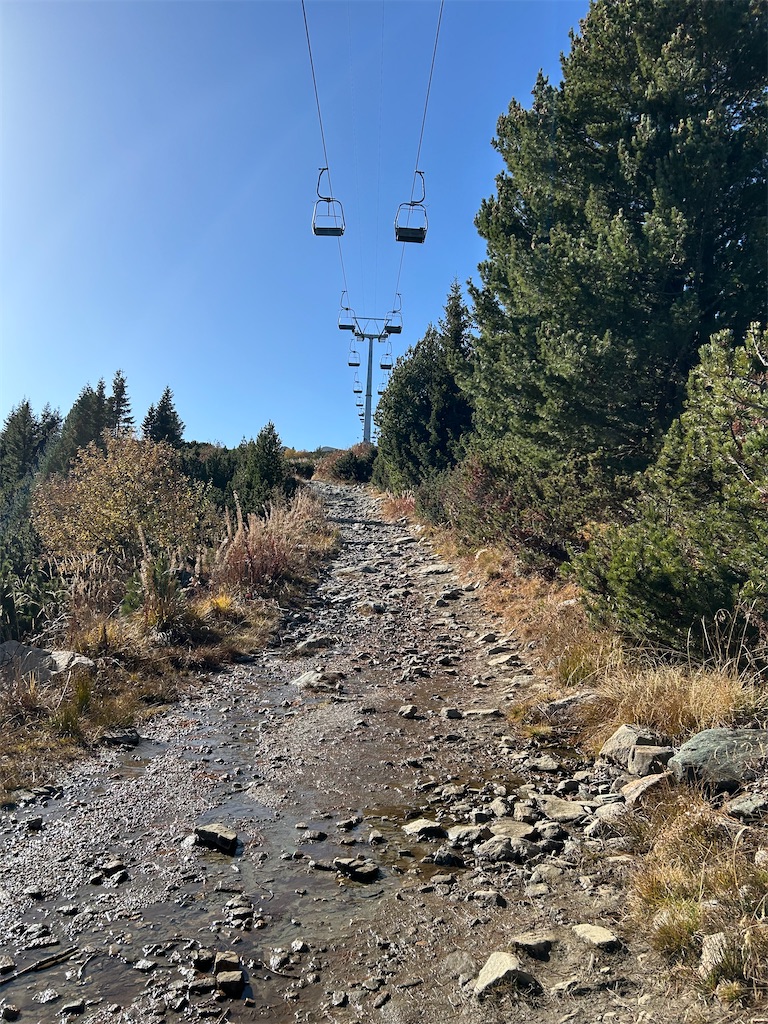 f:id:Applebee:20241030152043j:image