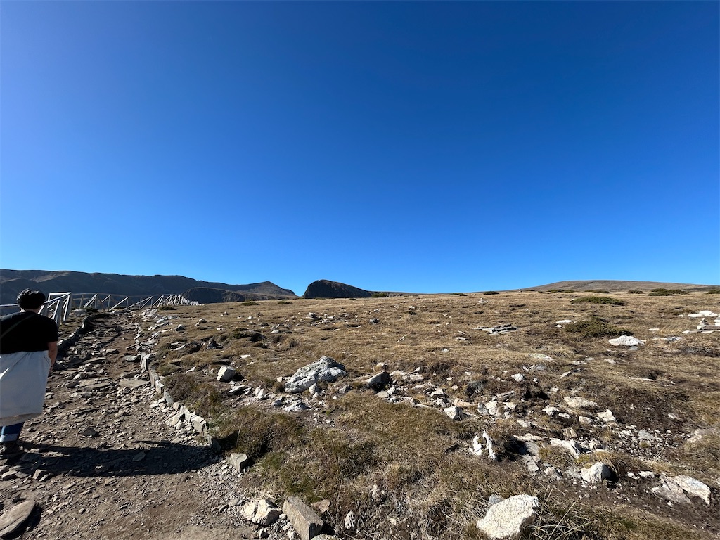 f:id:Applebee:20241030154733j:image