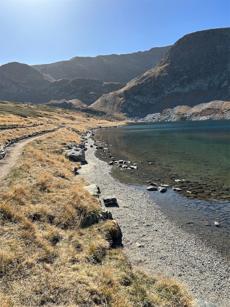 f:id:Applebee:20241030155038j:image