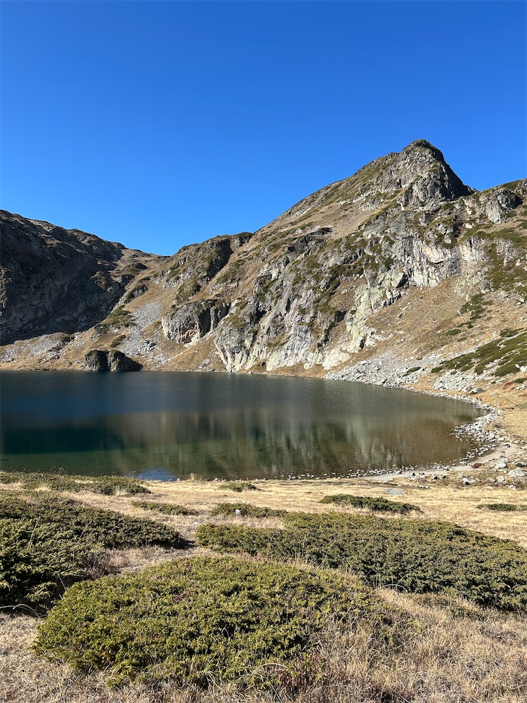 f:id:Applebee:20241030155049j:image