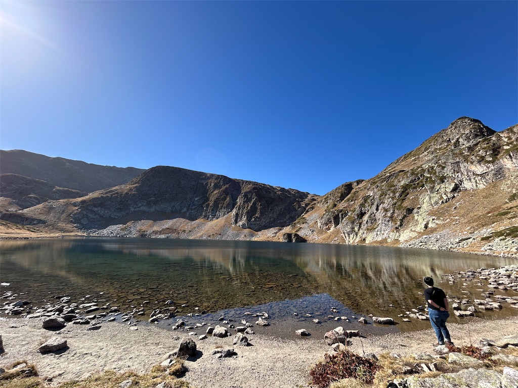 f:id:Applebee:20241030155103j:image