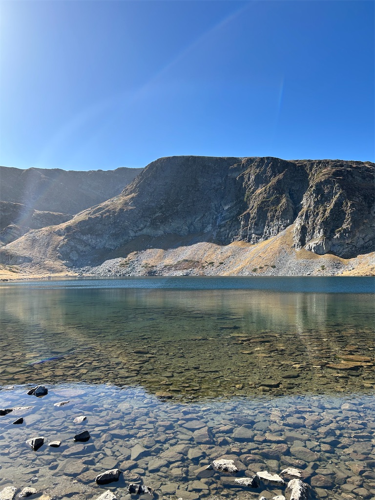 f:id:Applebee:20241030155109j:image