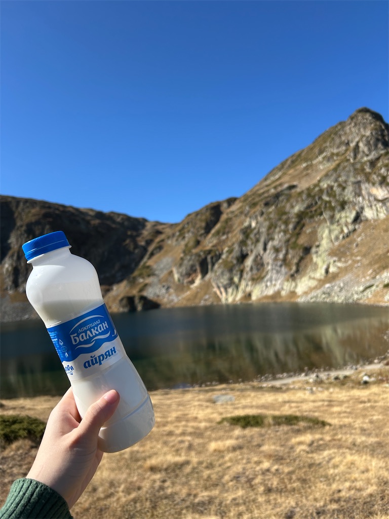 f:id:Applebee:20241030155118j:image