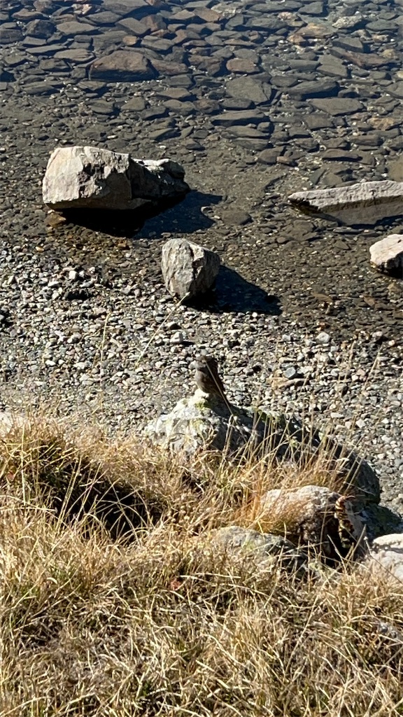 f:id:Applebee:20241030155743j:image