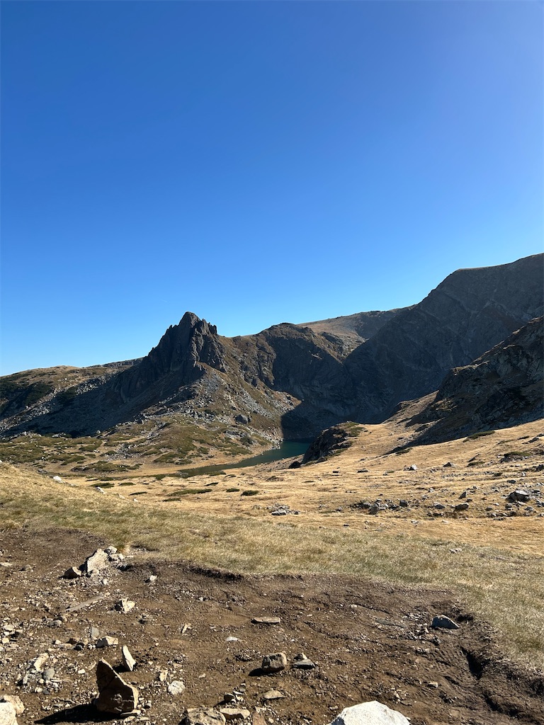 f:id:Applebee:20241030155815j:image