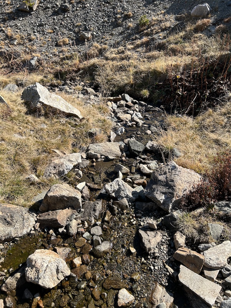 f:id:Applebee:20241030155821j:image