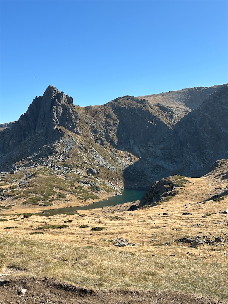 f:id:Applebee:20241030155851j:image