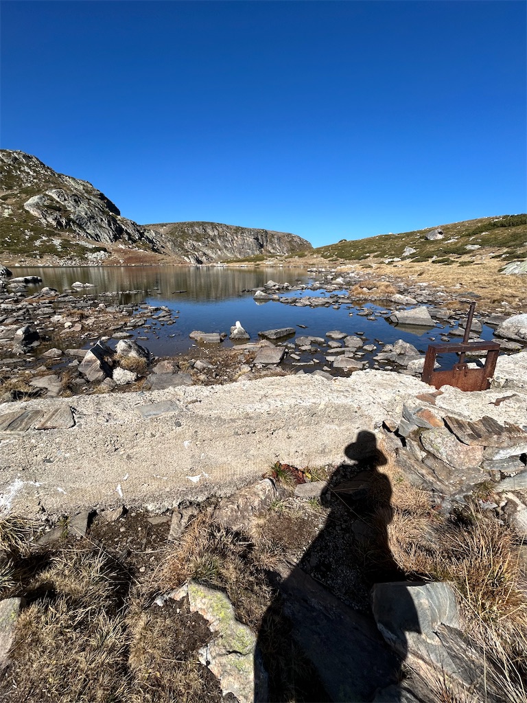 f:id:Applebee:20241030160538j:image