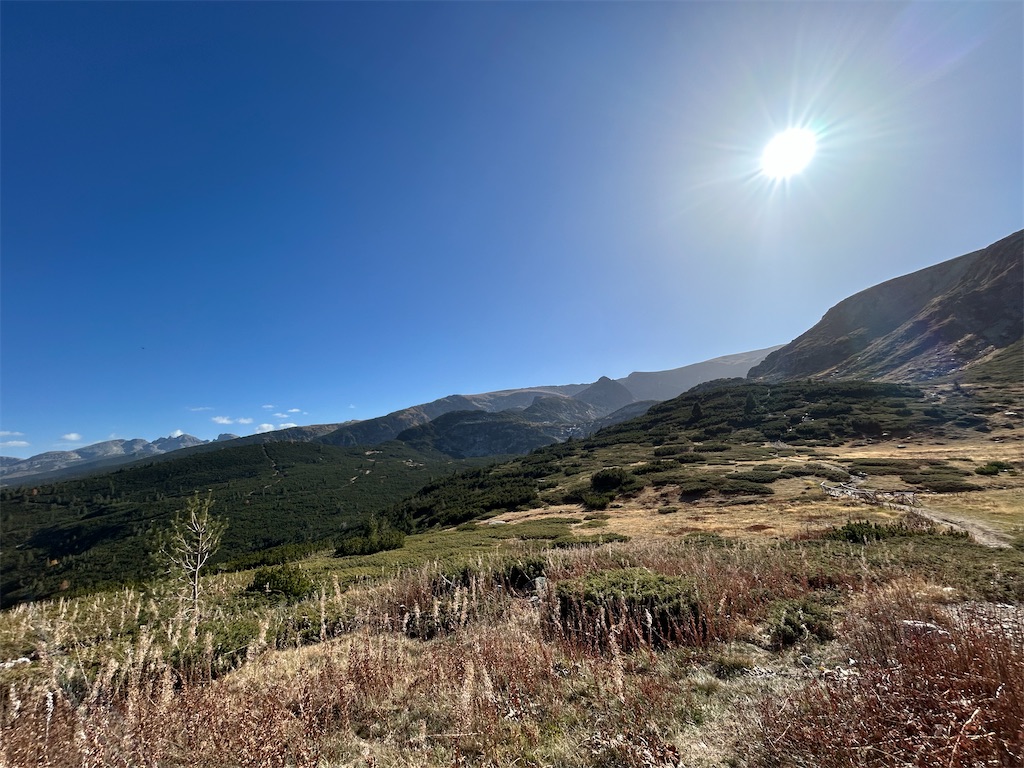 f:id:Applebee:20241030160543j:image