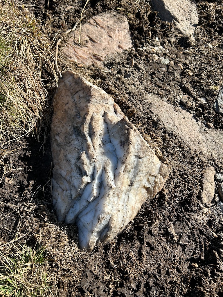 f:id:Applebee:20241030160550j:image