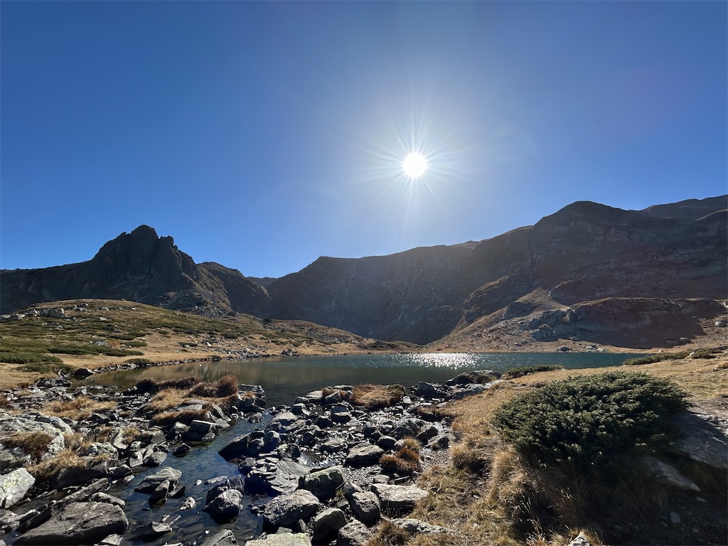 f:id:Applebee:20241030160556j:image